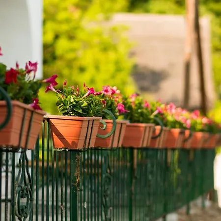 Kabala Bed & Breakfast 3*