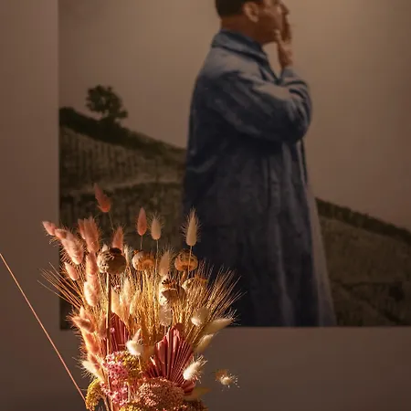 Kabala לינה וארוחת בוקר סיגליגט