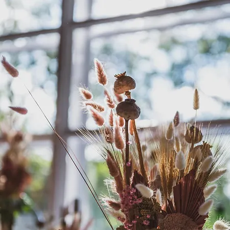 Bed & Breakfast Kabala 3*