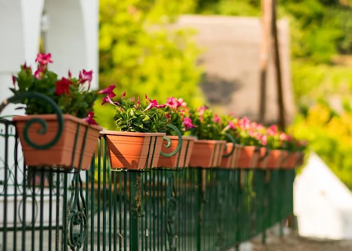 Kabala Bed & Breakfast 3*