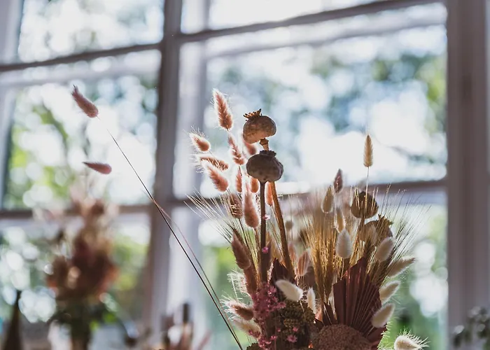 לינה וארוחת בוקר Kabala 3*